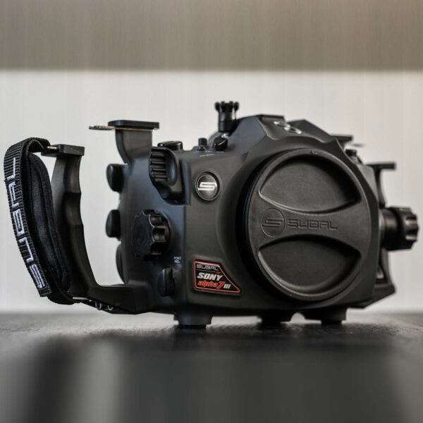 Alpha 7 Mk3 - Image 7
