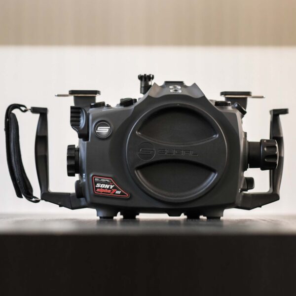 Alpha 7 Mk3 - Image 6