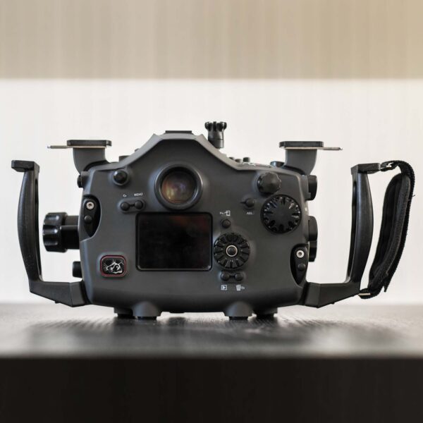 Alpha 7 Mk3 - Image 5