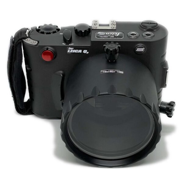 Q2 with flat port+ - Image 2