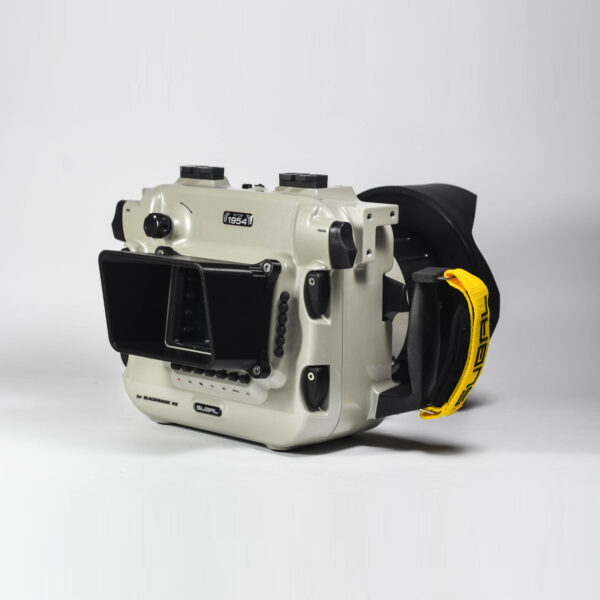 BM4K - Image 2