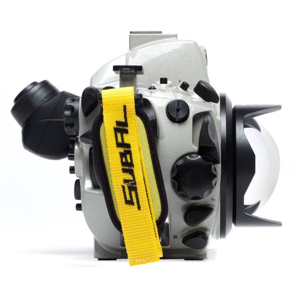 DP-100 Dome Port - Image 2