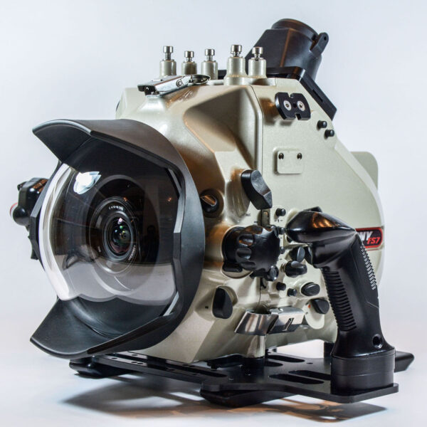 FS7 - Image 4